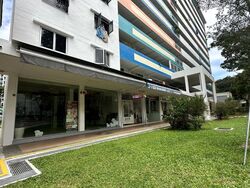 Ping-an Gardens (D16), Shop House #484579951